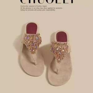 Summer New Retro Flip-Flops Women's Outdoor Wear Niche Chunky Heel .